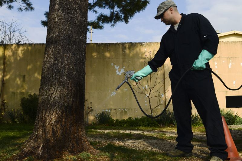U.S. Air Force Tech. Sgt. Adrian Pozo-Romero, 31st Civil Engineer Squadron pest control technician, sprays a tree with p