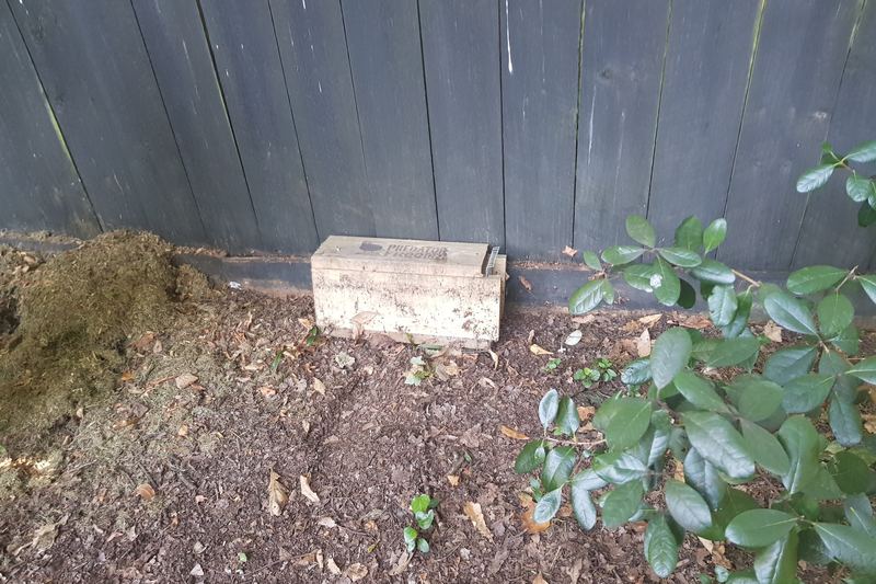 Predator Free New Zealand rat trap and tunnel